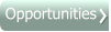 Opportunities